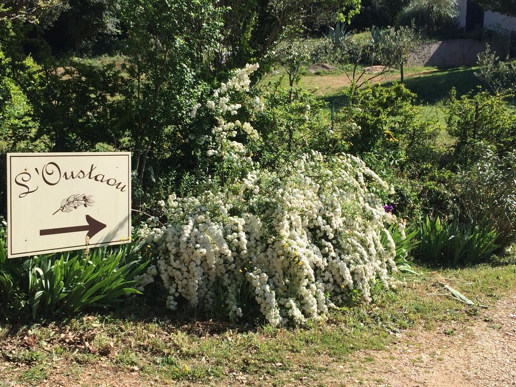 L'Oustaou B&B Piscine & Spa Besse-sur-Issole Bagian luar foto